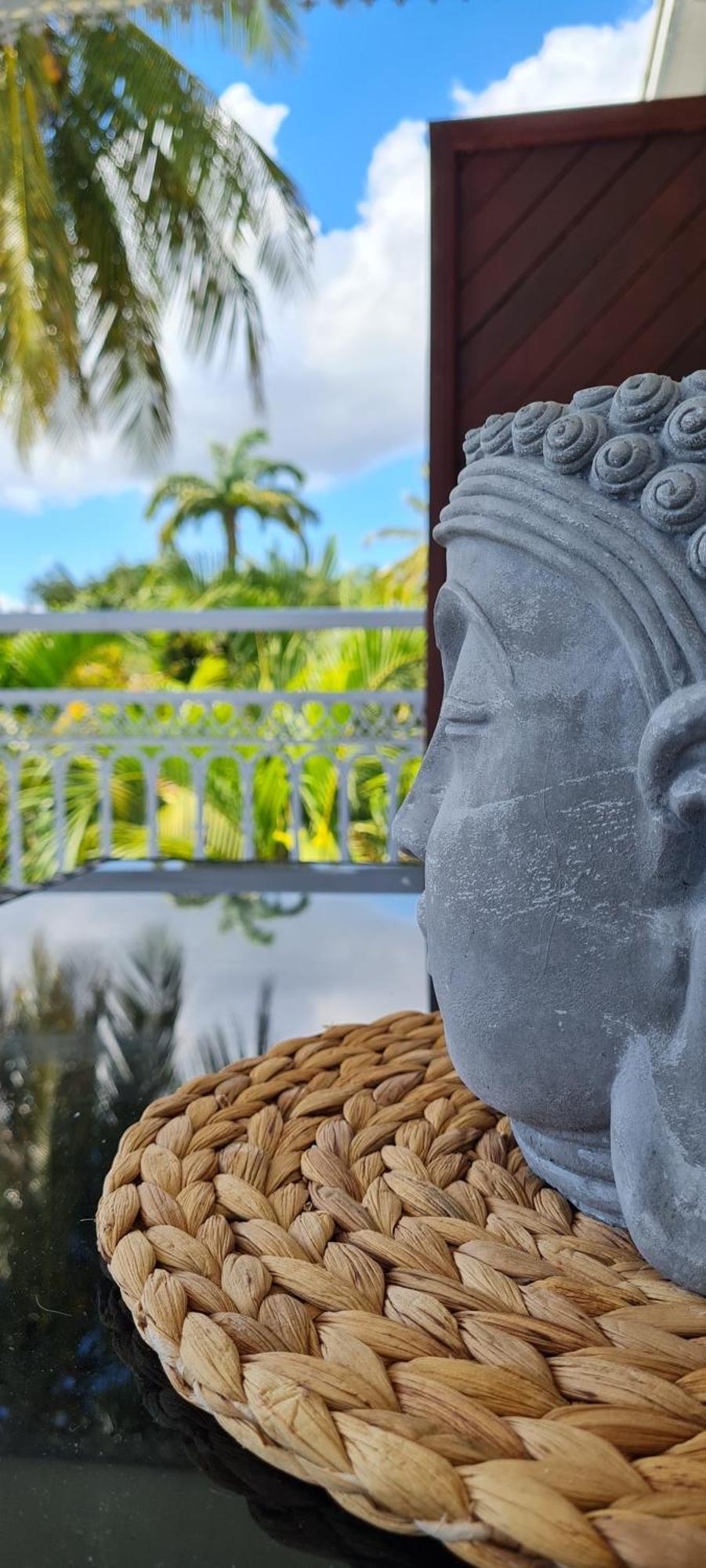 Grand Studio Zen Idealement Situe A Saint-Francois Avec Piscine Et Terrasse Номер фото